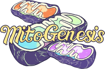 Mitogenesis Regenerative Medicine